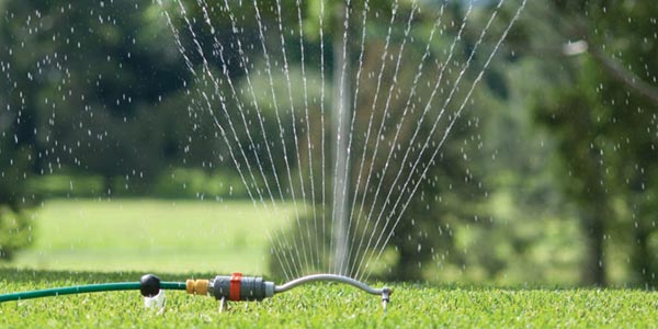 watering lawn