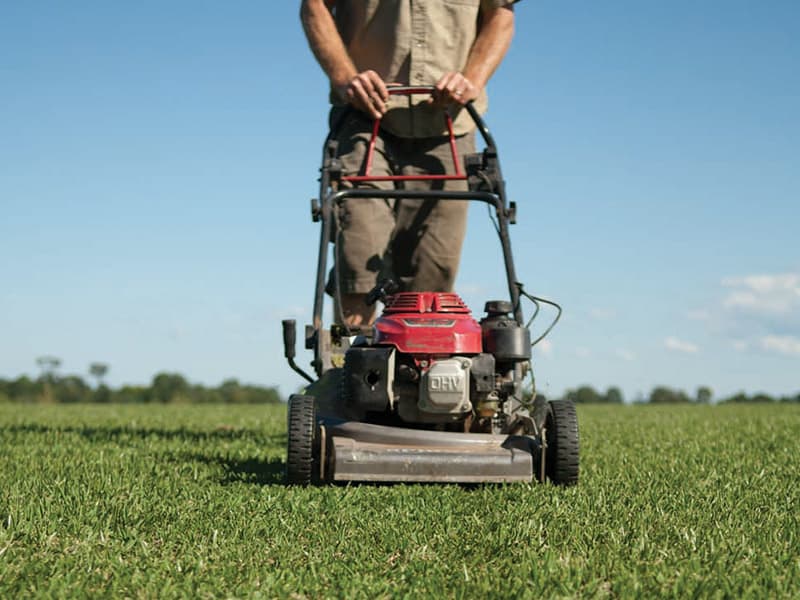 mowing