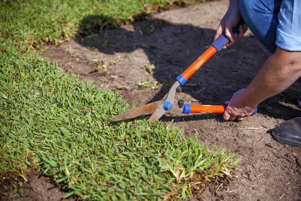 laying turf