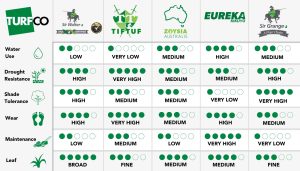 compare turf varieties