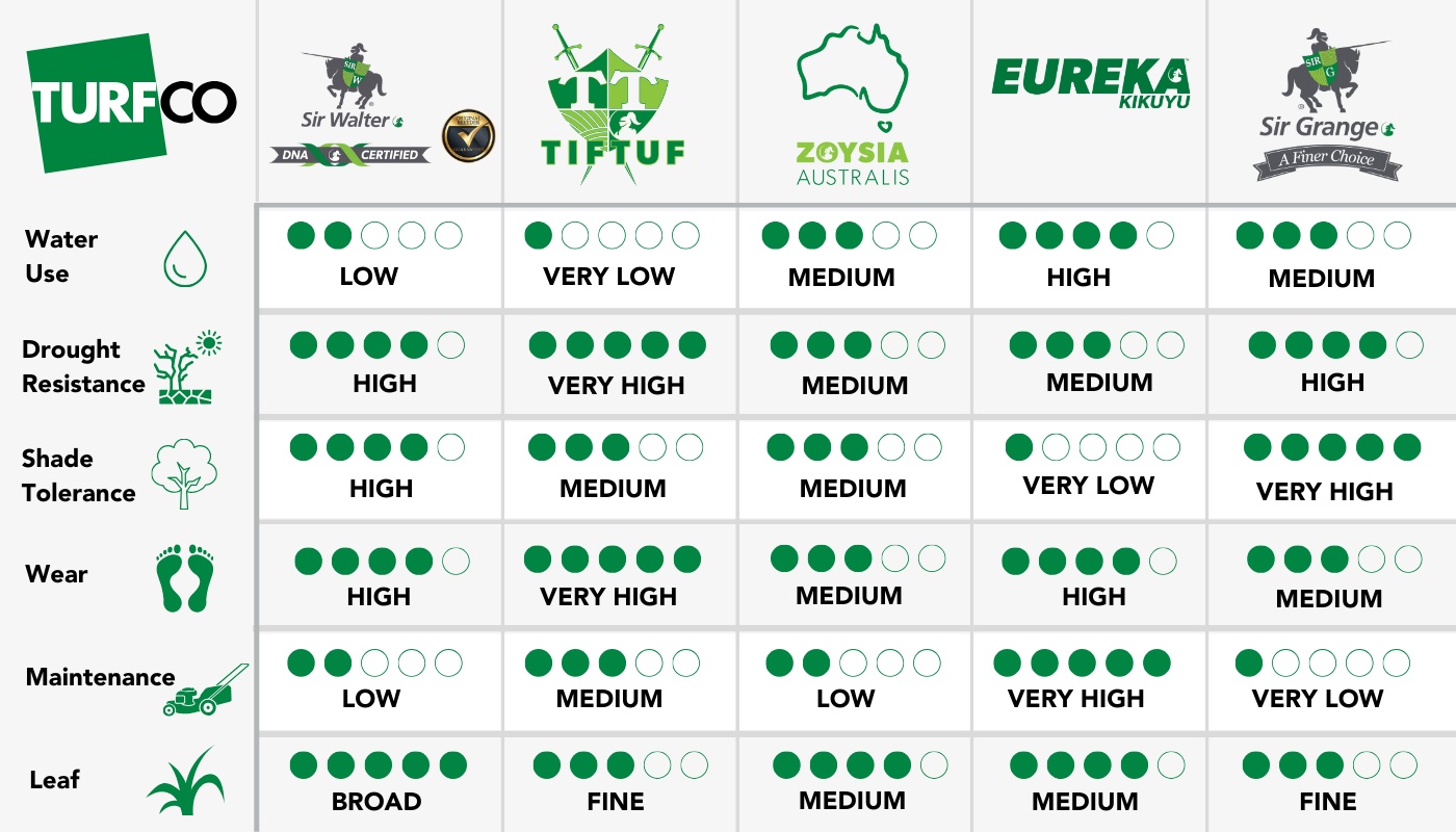 compare turf varieties