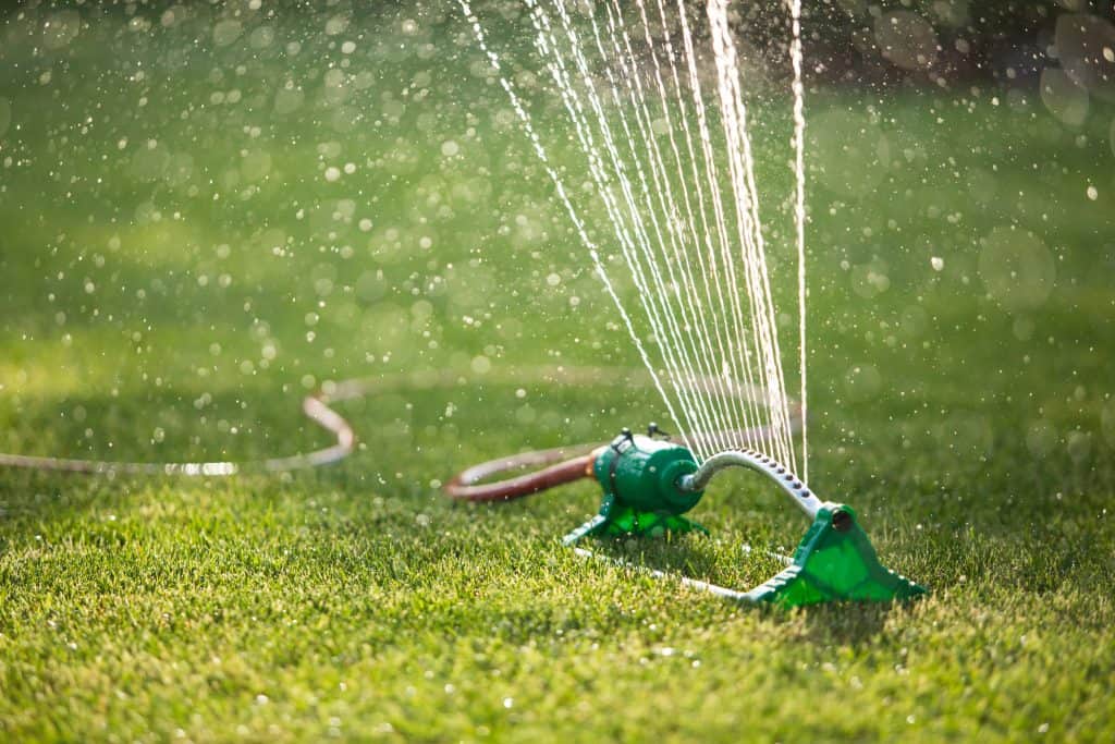 Watering a lawn