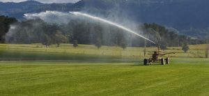 Watering turf