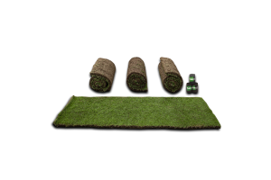 Turf Rolls