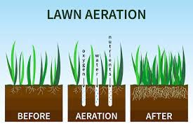 lawn aeration