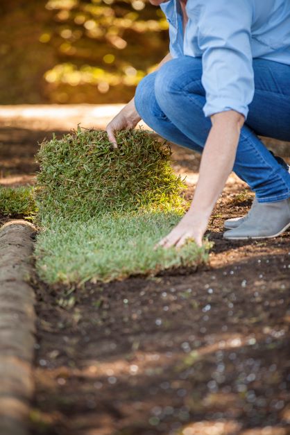 Laying turf