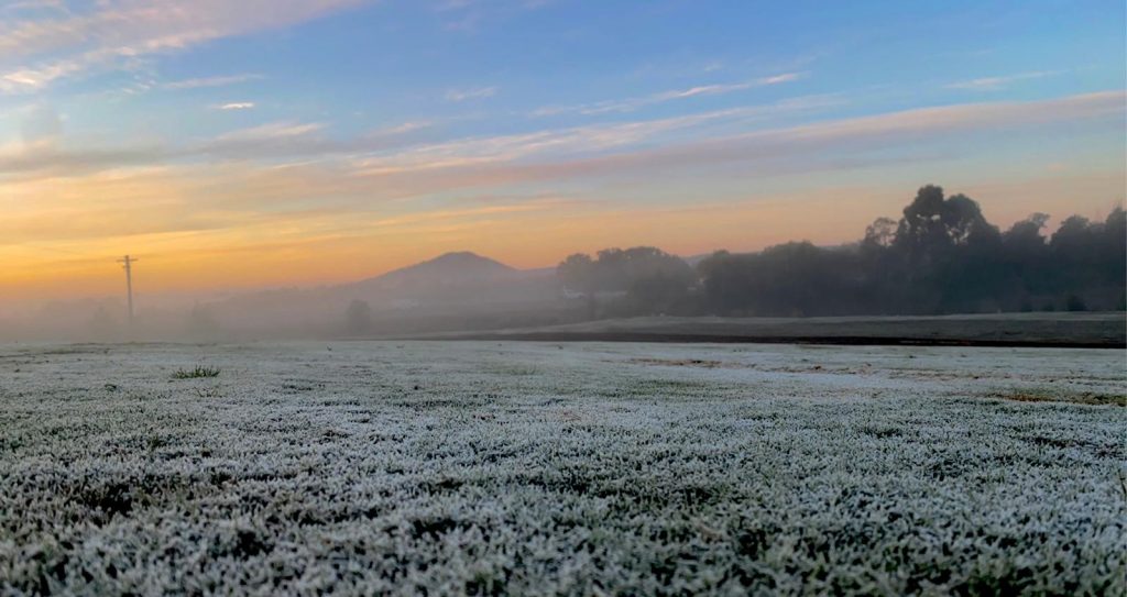 Frost on turf