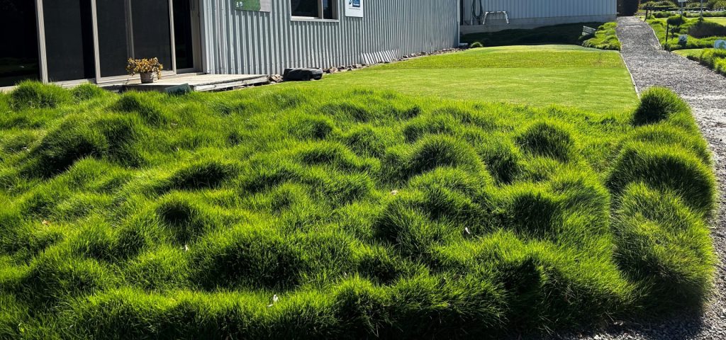 Our Turf Display Area - Turfco