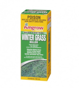 Winter Grass