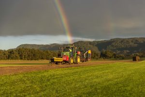 Turf harvesting