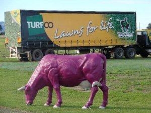 Turfco trucks